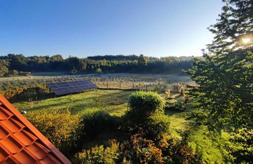 Cały dom na wyłączność - Ostoja Leśna Cisza - Foto 43