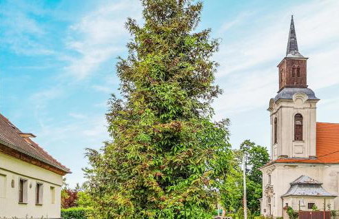 Amazing Home In Skape With Kitchen - Foto 8