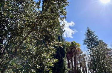 San Gemini Fiori - Foto 17