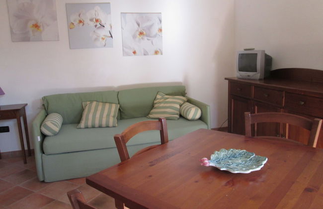 Fattoria La Steccaia - Foto 26