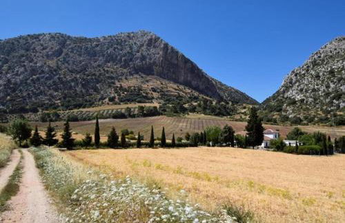 Luxurious Villa in Loja With Swimming Pool - Foto 40