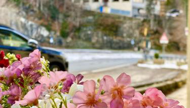 Holiday Apartment - Foto 2