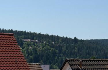 Good Wood Apartment - Modernes Fachwerk am Marktplatz in Freudenstadt - Foto 8