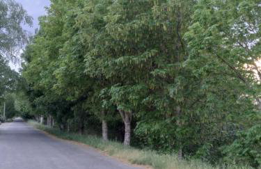 Ático Rosita en Camino de Santiago - Foto 22