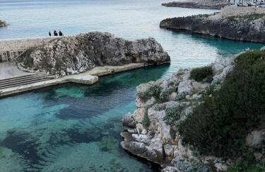 The Sunflower - Foto 58