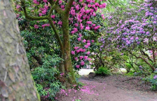 Holiday Apartment Schwarting in Wiefelstede - Foto 17