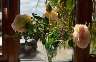 Spacious Home, 6 large bedrooms, full sky package, sleeps 14 - Foto 33