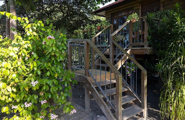 Quinta Pavo Real Complex by Acomodo - Photo 25