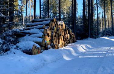 Ferienwohnung Heinzebank - Foto 25
