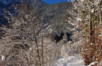 Haus Holzner-Nagl - Foto 13