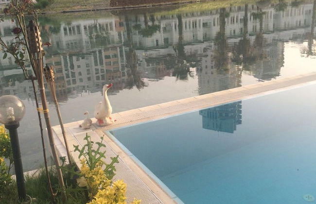 Dream Of Holiday - Foto 40