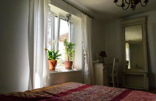 Zakątek Szczęścia Eko Agroturystyka - Foto 50