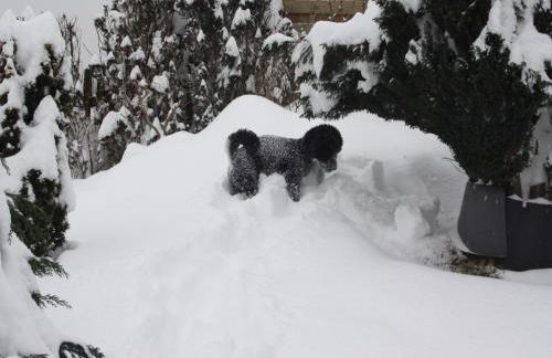 Stylish apartment in Stormbruch with garden - Foto 12