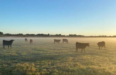 Swedish Rustic Cabin perfect for bird watching - Foto 10