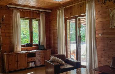 Rzeka i las - Photo 53