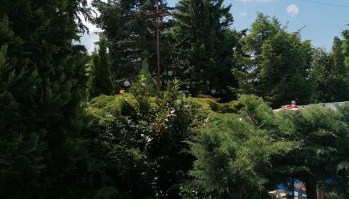 Häuschen in grüner Idylle - Foto 2, Garden