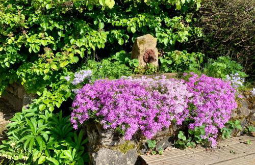 Ferienwohnung HYGGELIG - Göttingen Harz Duderstadt - Foto 51