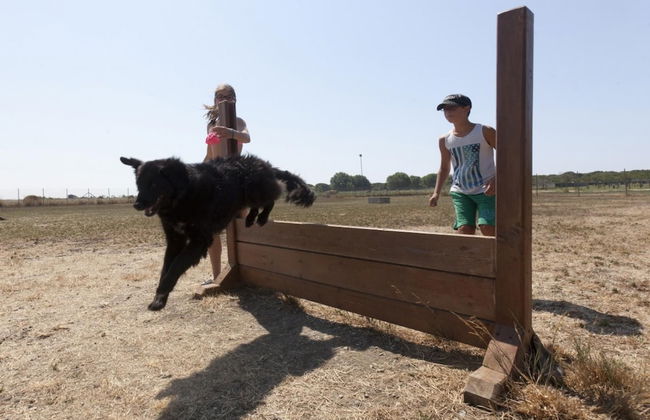 Club Degli Amici Villino Superior - Foto 10