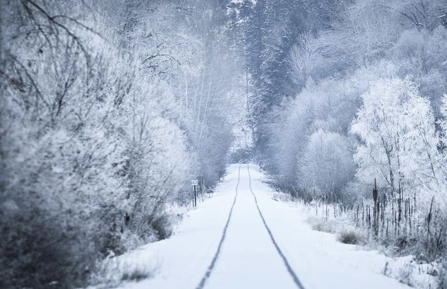 Barefoot Villas Cabin 2 Moose w/ Hot Tub - Photo 26