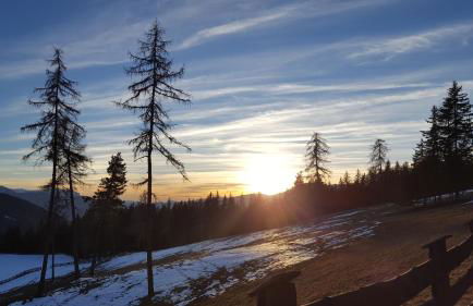 Appartements Schusterhof - Foto 23