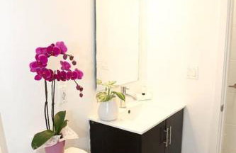 Insta Worthy Oasis - Foto 13