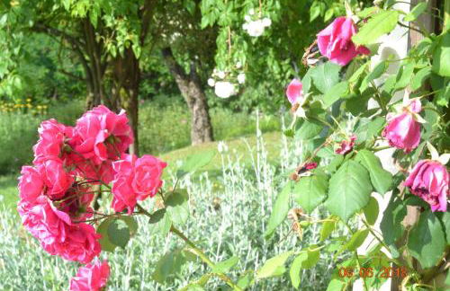 La Colombara - Fra i colli a 5 minuti dall'autodromo - Foto 30