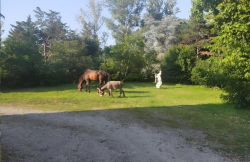 Ferme Pédagogique Bordeneuve - Foto 29
