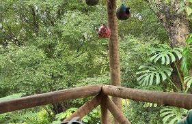 Cabana Tekoha - Photo 10