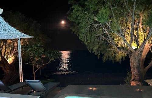 Nikkon Luxury Living - Foto 28