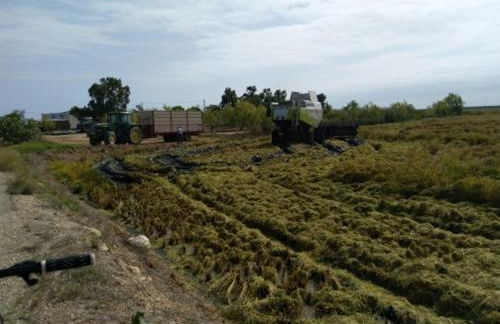 TERRES DE L'EBRE Between two natural parks - Foto 14