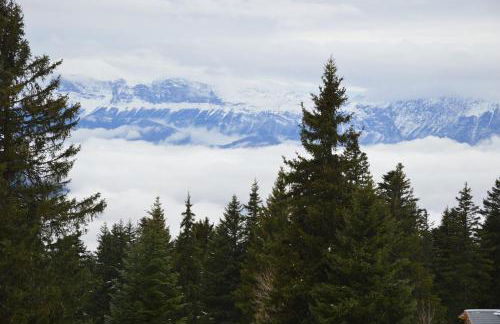 Charmant studio cabine COCOON à 100 m des pistes - Photo 16