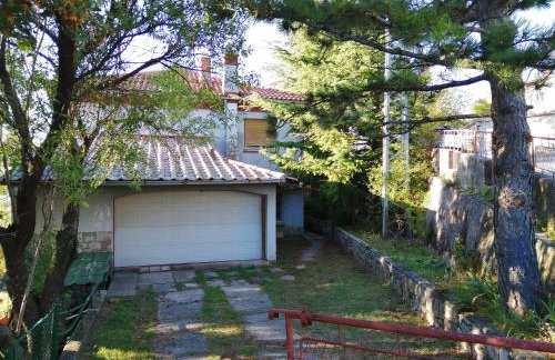 FoREST Heritage Apartment - Foto 39