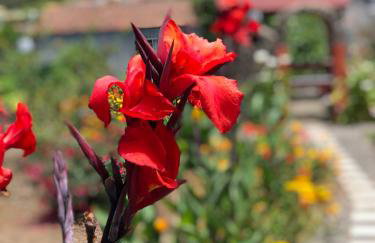 Casa terrera "El Granero" - Foto 32