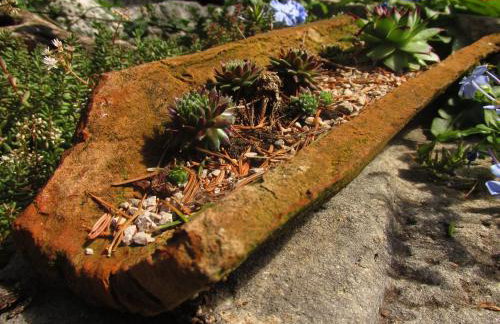 Holiday Home Botanica - Foto 46