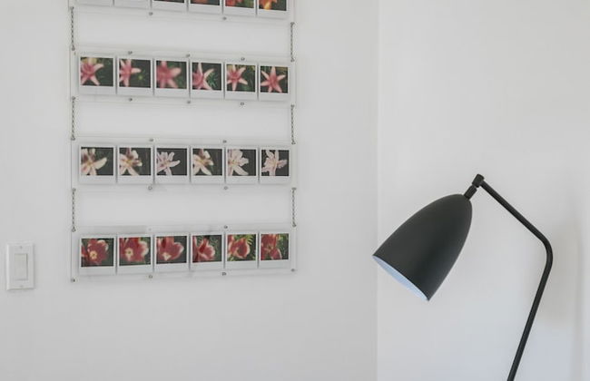 Applewood Suites - Bathurst & College - Foto 14