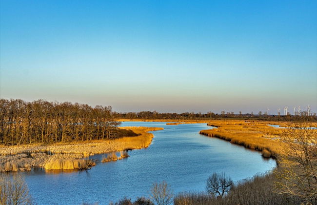 Hausboot auf der Peene, Demmin - Foto 13