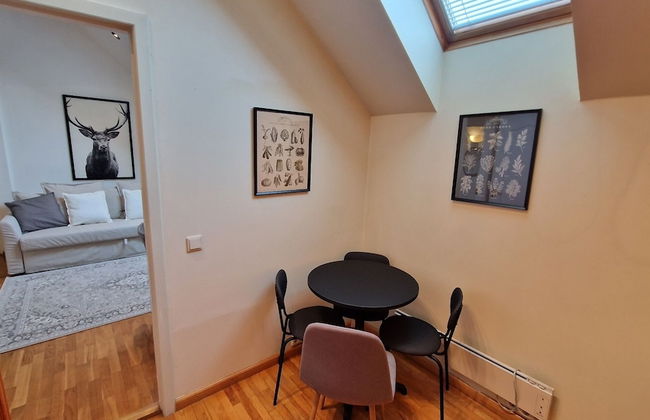 TyzenXL Luxury Vilnius Apartment - Photo 20