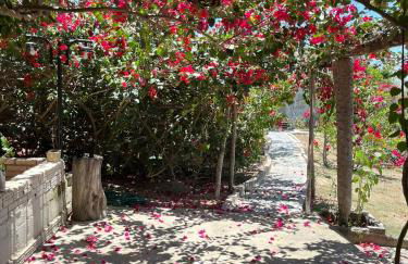 Paradise Camp - Foto 61