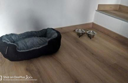 Kairos Montone - Foto 7