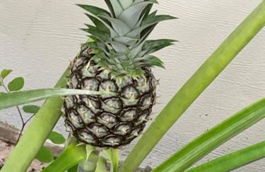 Ambers Jensen Beachhouse with Hot Tub - Foto 42