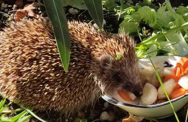 Apartments Popi - Photo 32