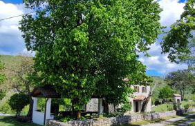 Peaceful Villa Ida&Mirko in nature with private pool - Foto 18