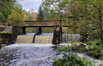 Ferienwohnung Bayerwaldblick - Foto 56