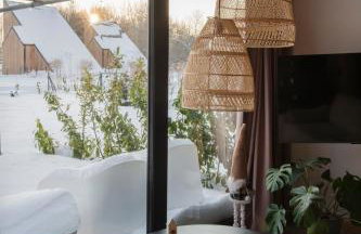 Zen Sasino - Foto 28