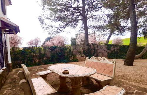 Dehesa Vieja Casa Rural - Foto 11