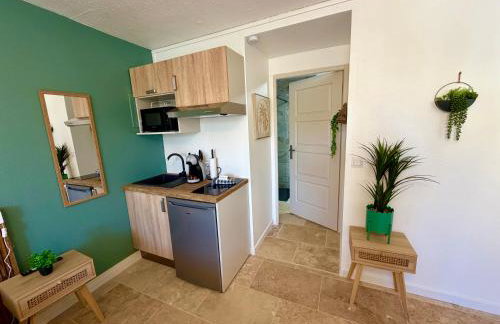 Les Appartements du Mas - Studio Amazonite - Foto 7