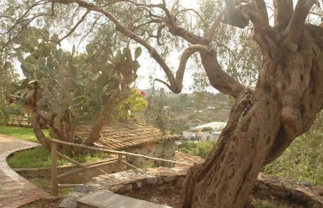 Antico Borgo Etneo Country Hotel - Photo 75