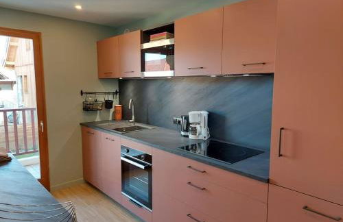 Charmant Appartement Lac d'Annecy / Ski - 6 Pers - Foto 6