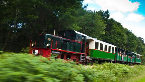 Maison de vacances avec grande piscine et tennis, proche du Zoo de Beauval et des Châteaux de la Loire - FR-1-591-47 - Foto 3
