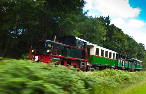 Maison de vacances avec grande piscine et tennis, proche du Zoo de Beauval et des Châteaux de la Loire - FR-1-591-47 - Foto 3